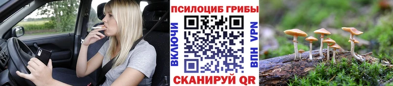 Купить  Бугульма  Галлюциногенные грибы прущие грибы 